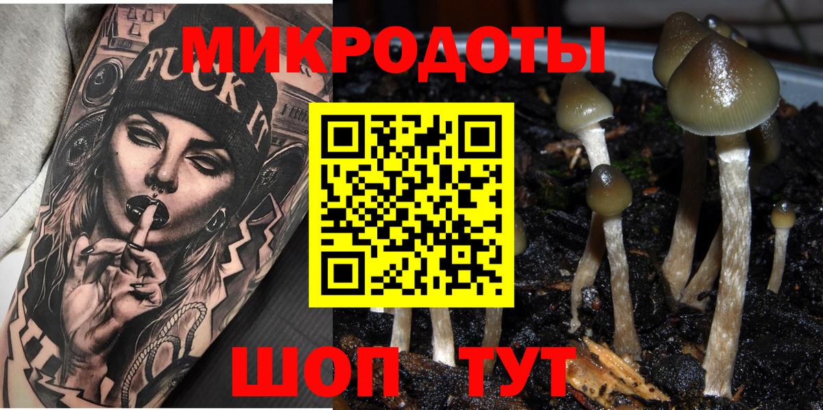Галлюциногенные грибы Magic Shrooms Гусев
