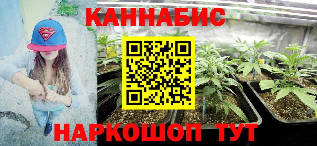 Каннабис индика  Канабис гибрид  Бошки марихуана тримм  Гусев  Вход с VPN 